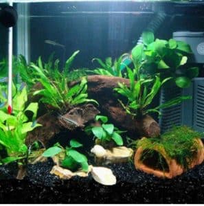 cat den xay dung 2 cát đen xây dựng 2