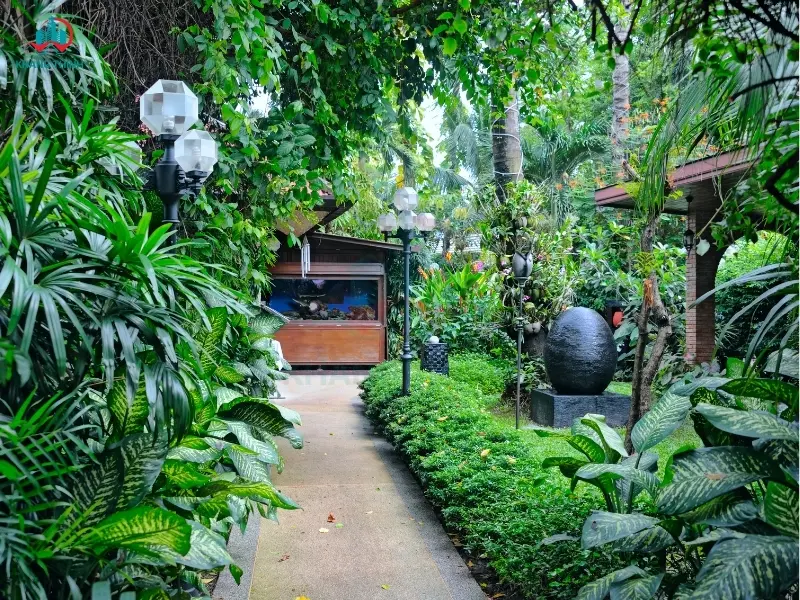 Mau Thiet Ke San Vuon Tropical (1)